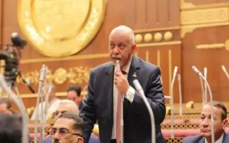 النائب حازم الجندي يدعو إلى تعزيز التصنيع الزراعي ورؤية متكاملة لضمان الأمن الغذائي