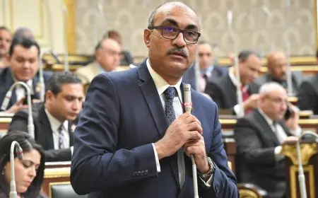 النائب إيهاب منصور يستفسر الحكومة عن فوائد ونفقات تطبيق التوقيت الصيفي.
