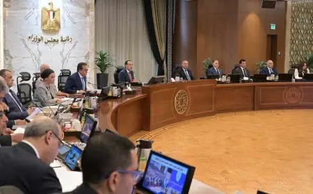 الحكومة تعلن موافقتها على تأسيس الهيئة التنفيذية لمشروعات تحسين الأراضي