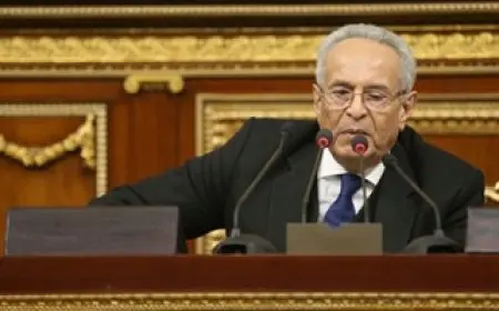 وكيل مجلس الشيوخ يدعو لإحياء الدورة الزراعية: الأمن الغذائي أمر حيوي لمواجهة التحديات القومية