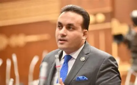 النائب عمرو فهمي يعبّر عن استيائه من نقص التنسيق الحكومي في القضايا الزراعية