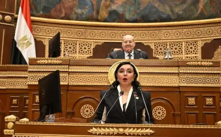 مجلس الشيوخ يوافق على الحساب الختامي لموازنة 2023-2024