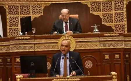 اللجنة الاقتصادية بمجلس الشيوخ تُوافق على الحساب الختامي لعام 2023-2024