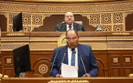 نائب وزير الزراعة: مصر تحقق الاكتفاء الذاتي في العديد من السلع الغذائية الأساسية