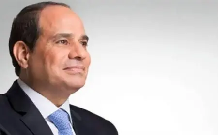 الرئيس السيسي: إطلاق مجلس الأعمال المصري الجيبوتي وتأسيس مقر بنك مصر في جيبوتي قريبًا