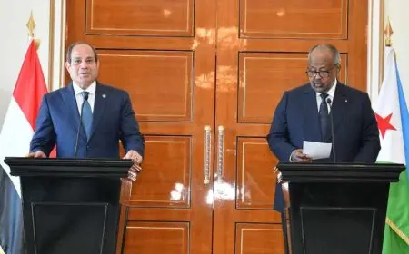 الرئيس السيسي: جيبوتي تحتل مكانة مميزة في قلوب المصريين