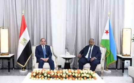 الرئيس السيسي: الاتفاق على إطلاق برنامج طموح مشترك لتعزيز أمن الطاقة في جيبوتي