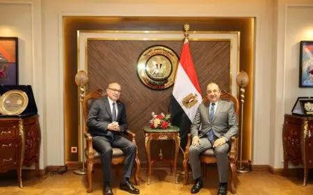 وزير قطاع الأعمال: نهدف إلى إقامة شراكات صناعية واستثمارية مع تركيا