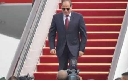 الرئيس السيسي يعود إلى البلاد بعد زيارة رسمية لجمهورية جيبوتي