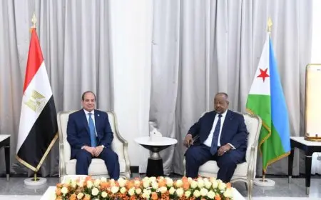 الرئيس السيسي: نرفض تهجير الفلسطينيين إلى خارج أرضهم تحت أي ظرف