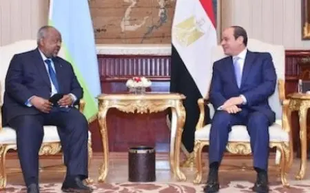 السيسي: نرفض أي محاولات تمس وحدة وسيادة السودان