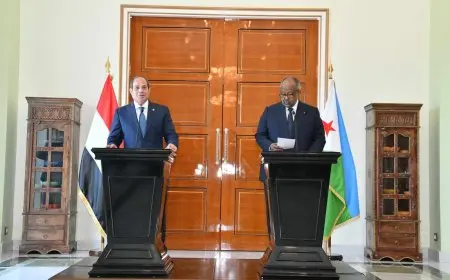رئيس جيبوتي: المحادثات مع الرئيس السيسي أظهرت رغبة مشتركة لتعزيز التعاون