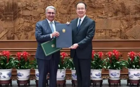 سفير مصر في بكين يقدم نسخة من أوراق اعتماده إلى مساعد وزير الخارجية الصيني