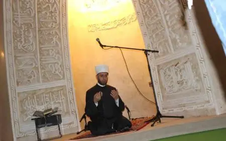 بعد وصوله إلى زغرب.. وزير الأوقاف: لمصر والأزهر مكانة كبيرة في قلوب المسلمين حول العالم