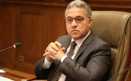 النائب أحمد السجيني: مشروع قانون حيازة الحيوانات الخطرة يتيح تمويلاً للتعامل مع الكلاب الضالة