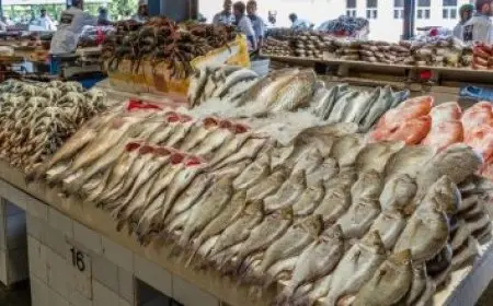 الكهرباء تناقش مع شركة صينية تعزيز التعاون في مجالات الطاقة المتجددة وتحديث الشبكات