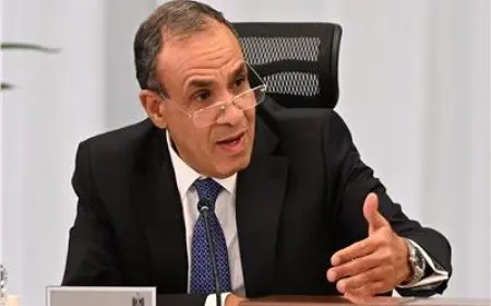 وزير الخارجية: إنشاء الدولة الفلسطينية هو الحل الوحيد لضمان أمن واستقرار المنطقة