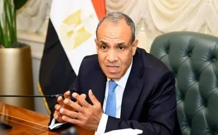 وزير الخارجية: الشركات الإيطالية ترغب في زيادة استثماراتها في مصر