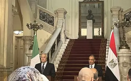وزير الخارجية يبرز قوة التعاون بين مصر وإيطاليا