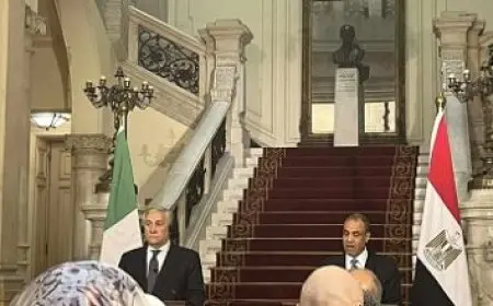 وفد أمريكي يشارك في الاحتفال بإطلاق وكالة الفضاء الإفريقية بمصر