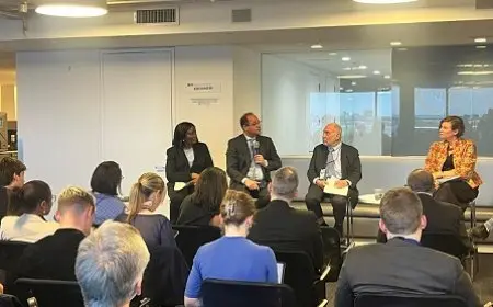 وزير المالية: الديون تشكل أكبر عقبة أمام التنمية في الاقتصادات الناشئة والدول الأفريقية