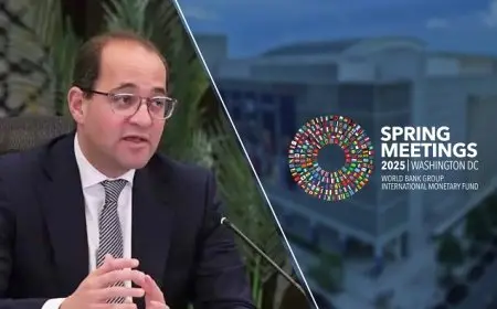 وزير المالية: المكانة الاستراتيجية لمصر تعد بوابة هامة لدخول الشركات البولندية إلى إفريقيا والشرق الأوسط