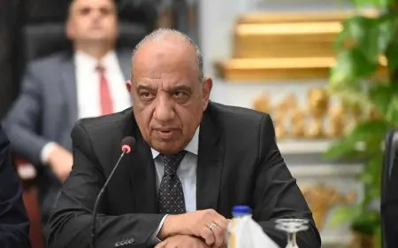 الكهرباء تستثمر 2.5 مليار جنيه لدعم مشروعات التنمية واستصلاح الأراضي الزراعية في سيناء