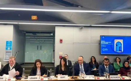 المشاط: 1.4 مليار دولار من البنك الدولي لدعم برنامج تكافل وكرامة على مدى 10 سنوات