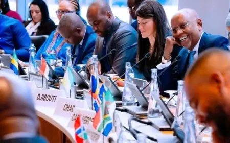 المشاط: معدلات التشغيل وتطوير مهارات الشباب من أبرز التحديات التي تواجه إفريقيا