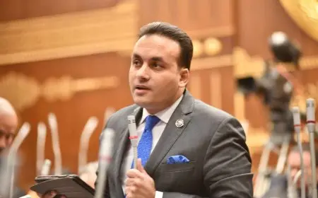 النائب عمرو فهمي: ذكرى تحرير سيناء تجسد بطولات خالدة وإرادة لا تُقهر