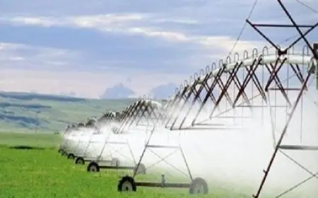 الزراعة: استثمارات كبيرة لدعم وتنمية القطاع الزراعي في سيناء وتعزيز الإنتاج