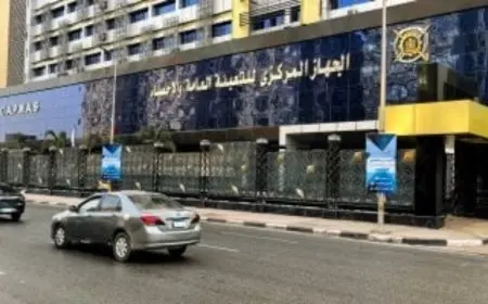 الإحصاءات: زيادة بنسبة 42.8% في عدد العلامات التجارية الممنوحة من مكتب marcas التجارية المصري خلال عام 2024