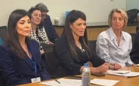 المشاط: الأثر البيئي يعد أحد معايير اختيار المشاريع الاستثمارية