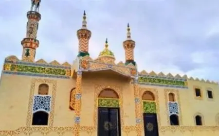 وزيرة التنمية المحلية تراقب تقدم العمل في نظامي التصالح لمخالفات البناء وترخيص المحال العامة في المحافظات