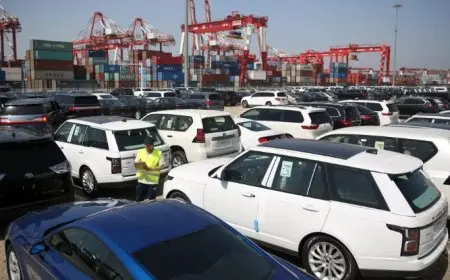 المالية: استئناف خدمات الدعم الفني لتطبيق مبادرة سيارات المصريين في الخارج