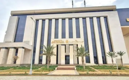 ثلاثة بنوك تقدم 48 مليار جنيه للشركة المصرية لنقل الكهرباء لفتح اعتمادات مستندية