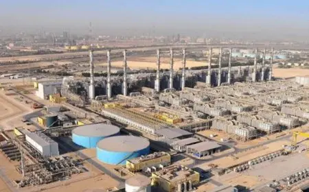 الحكومة تعرض أكثر من 1200 فرصة استثمارية تغطي القطاعين العام والخاص