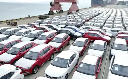 مصر تستورد ٣٣٠٠ سيارة صينية خلال شهرين بزيادة ٨٢٪