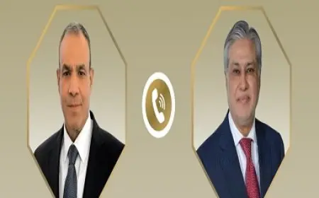 وزير الخارجية يبرز لنظيره الباكستاني أهمية التهدئة وضبط النفس