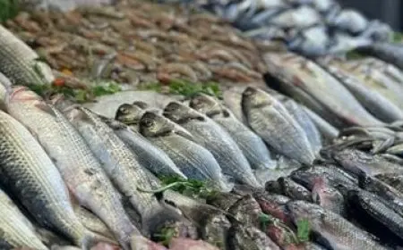 الأحد 27 أبريل 2025.. أسعار السمك في سوق العبور للجملة اليوم