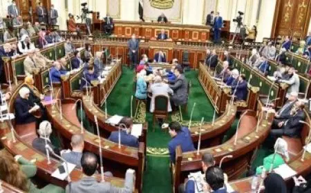 التنمية المحلية: تعزيز كفاءة 370 من القيادات والعاملين في المحليات لمواجهة التحديات العالمية ودعم التحول الرقمي