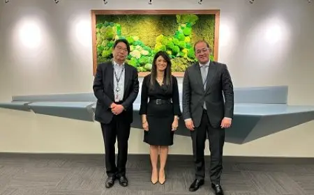 وزير المالية: الاقتصادات الناشئة بحاجة إلى أدوات تمويلية مبتكرة لجذب الاستثمارات طويلة الأجل والخصخصة