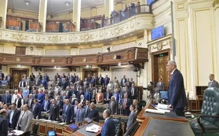 مجلس النواب يوافق على إنشاء قاعدة بيانات للأرقام القومية للعقارات بشكل شامل