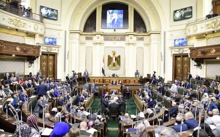 مجلس النواب يوافق على منحة كورية بقيمة 8 ملايين دولار لربط جامعة بني سويف التكنولوجية بالصناعة