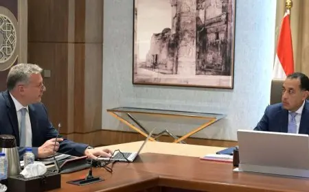 مدبولي: الحكومة تركز على قطاع البترول وتسعى لتوفير محفزات وتيسيرات للمستثمرين