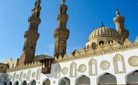 الأزهر يستنكر مقتل مسلم بعد تلقيه خمسين طعنة أثناء هجوم على مسجد في فرنسا