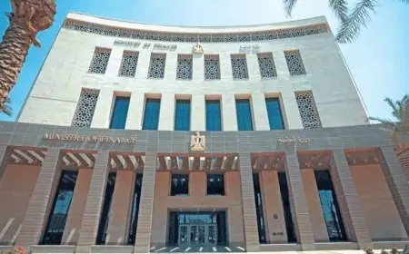 المالية: نظام ضريبي مُبسط ومتكامل للأنشطة ذات الإيرادات السنوية التي لا تتعدى 20 مليون جنيه