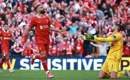 صلاح يحقق لقب الهداف الأجنبي الأكبر في البريميرليغ ويحتفل بصورة سيلفي تاريخية