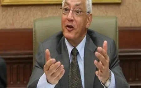 علي الدين هلال: الولايات المتحدة لم تسهم في بناء قناة السويس بأي شكل من الأشكال