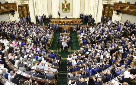 توصية برلمانية بتحصيل 8 مليارات جنيه مستحقات ضريبة العقارات وتعديل قانون الضريبة